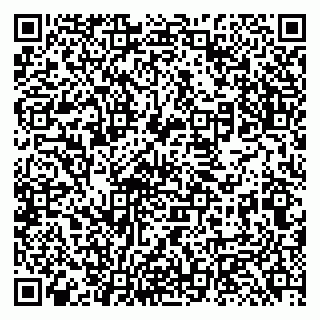 vCard 79131182011