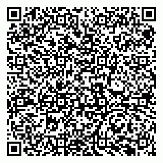 vCard 79131182811