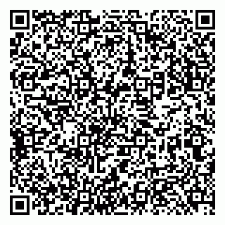 vCard 79131183000