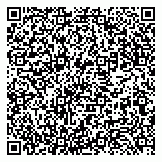 vCard 79131183294