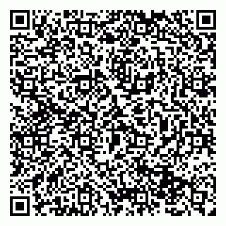vCard 79131183751
