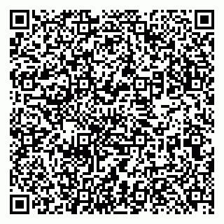 vCard 79131183802
