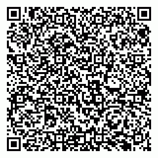 vCard 79131184167