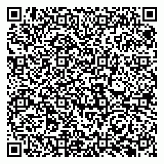 vCard 79131184294