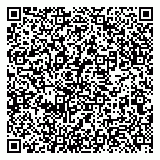 vCard 79131184331