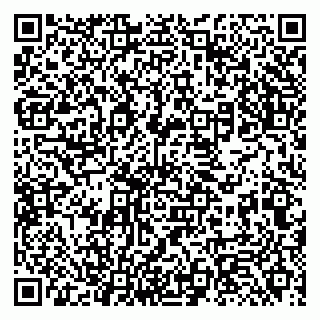 vCard 79131184345