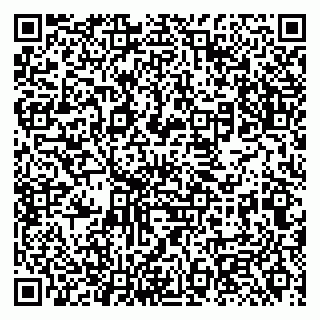 vCard 79131184753