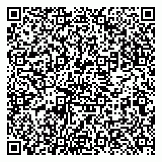 vCard 79131184841