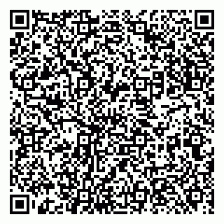 vCard 79131184999