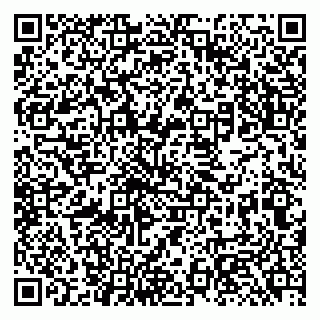 vCard 79131185196