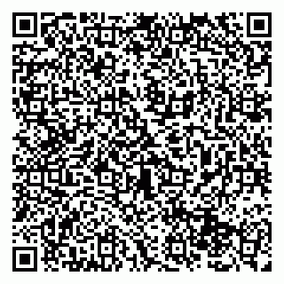vCard 79131185293