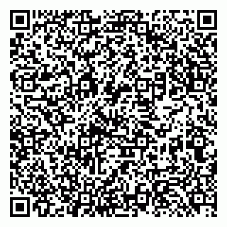 vCard 79131185294