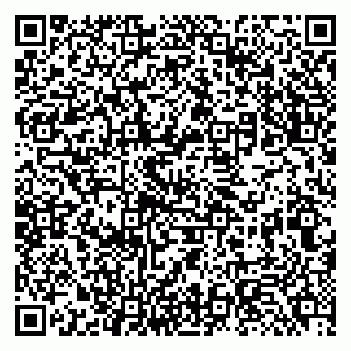 vCard 79131185331