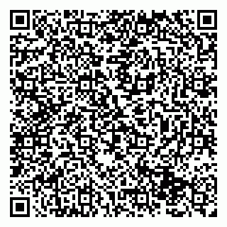 vCard 79131185387