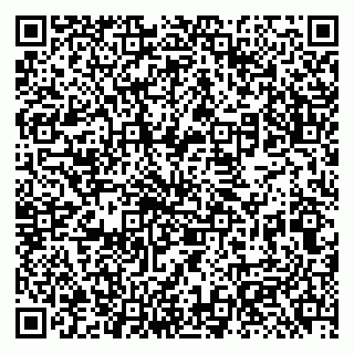 vCard 79131185508