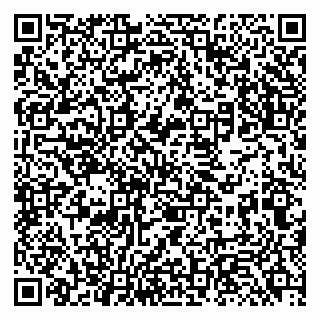 vCard 79131186355