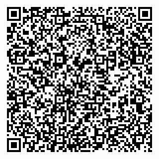 vCard 79131186685