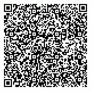 vCard 79131187005