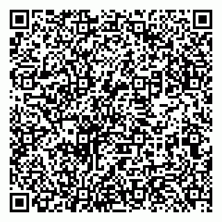 vCard 79131187203
