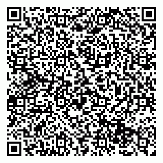 vCard 79131187285