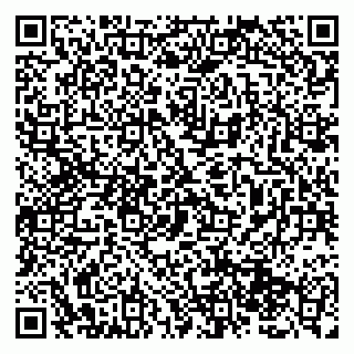 vCard 79131187293