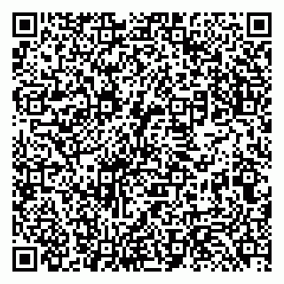 vCard 79131187294