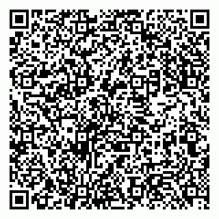vCard 79131187331