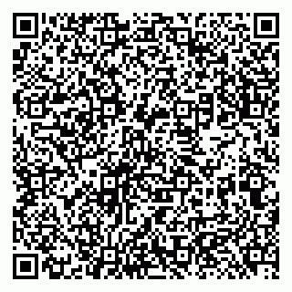 vCard 79131187489