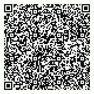 vCard 79131187631