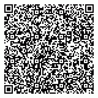 vCard 79131187696