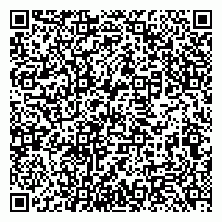 vCard 79131188331