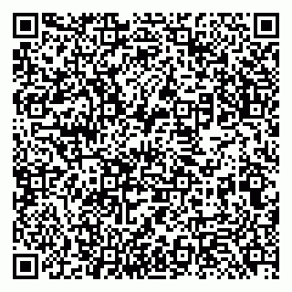 vCard 79131188397