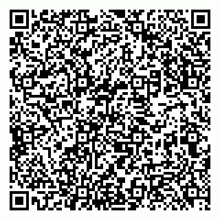 vCard 79131188674
