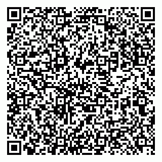 vCard 79131189072