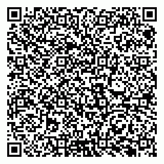 vCard 79131189073