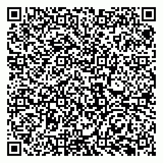 vCard 79131189084