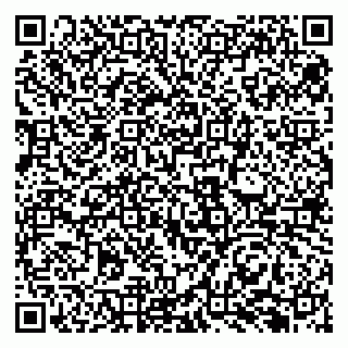 vCard 79131189179