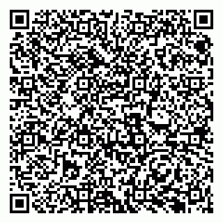 vCard 79131189262