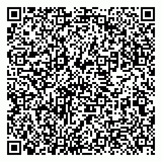 vCard 79131189302