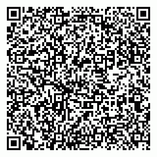 vCard 79131189303