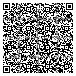 vCard 79131189395
