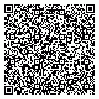 vCard 79131189413