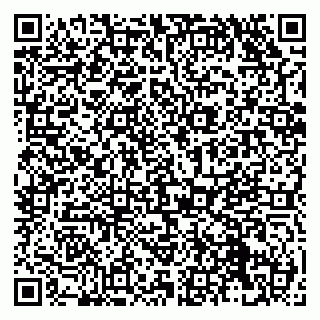vCard 79131189697