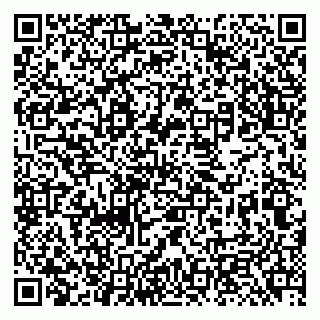 vCard 79131189720