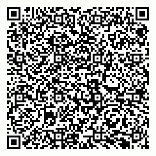vCard 79131190010