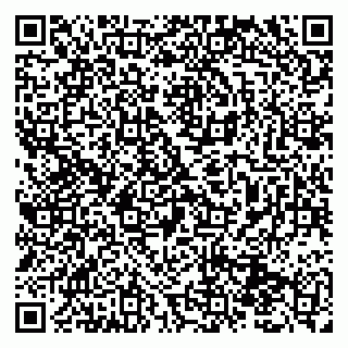 vCard 79131190013