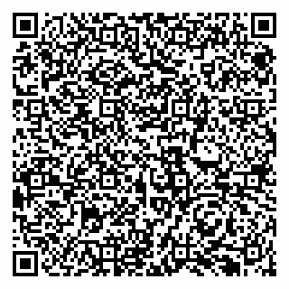 vCard 79131190200