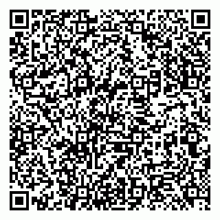 vCard 79131190331