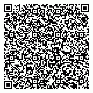 vCard 79131190804