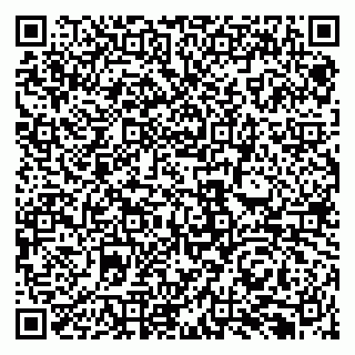 vCard 79131190807